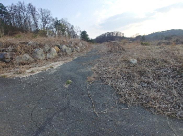 2025타경2453 법원경매 사진53 | 충남 금산군 임야 경매