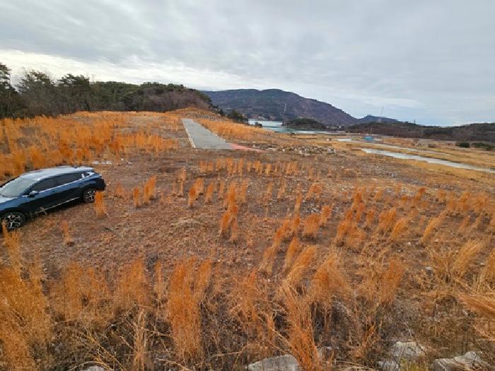2025타경519 법원경매 사진41 | 경남 하동군 임야 경매