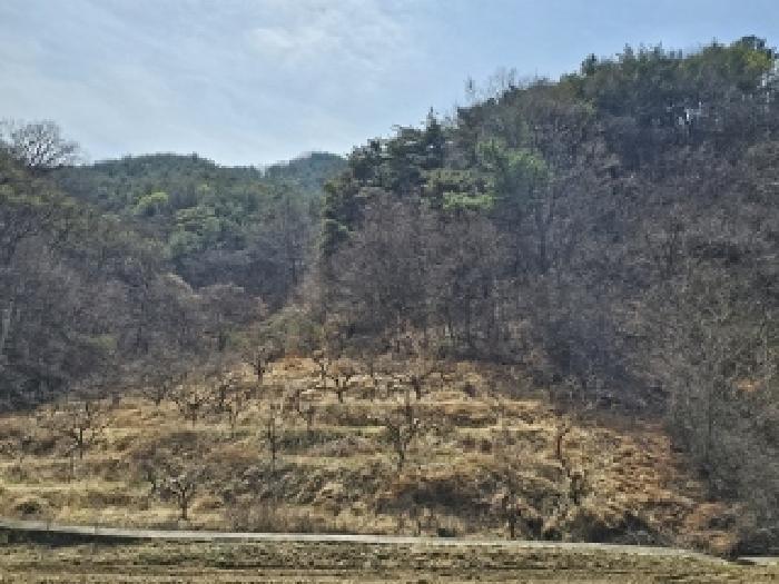 법원경매 2025타경576 사진19 | 산청군 신등면 간공리 18 답 경매