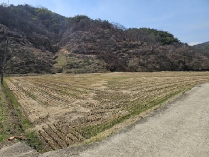 법원경매 2025타경576 사진28 | 산청군 신등면 간공리 18 답 경매