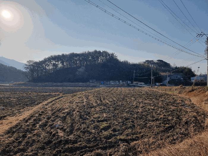 2025타경591 법원경매 사진3 | 경남 하동군 임야 경매