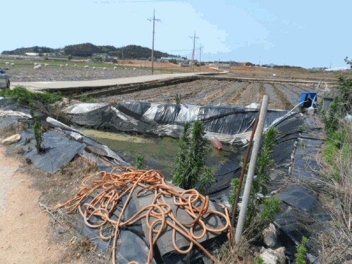 2025타경406 법원경매 사진4 | 전남 무안군 구거 경매
