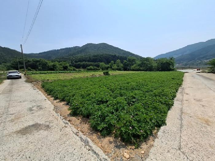 법원경매 2025타경676 사진5 | 남해군 삼동면 봉화리 1482-24 전 경매