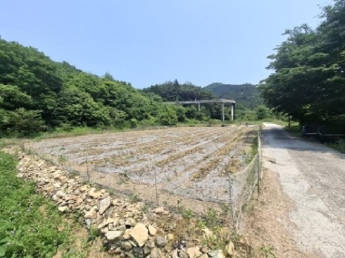 법원경매 2025타경676 사진6 | 남해군 삼동면 봉화리 1482-24 전 경매