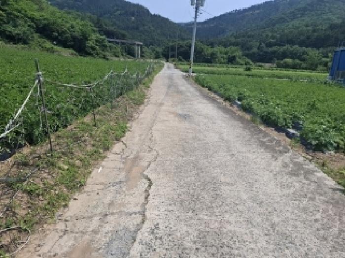 법원경매 2025타경676 사진8 | 남해군 삼동면 봉화리 1482-24 전 경매