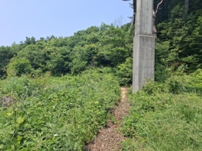 법원경매 2025타경676 사진9 | 남해군 삼동면 봉화리 1482-24 전 경매