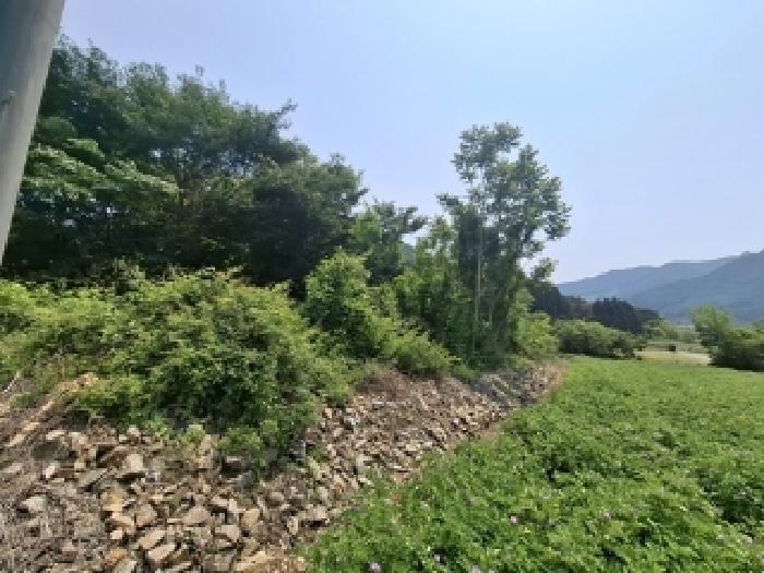 2025타경676 법원경매 사진2 | 경남 남해군 답 경매