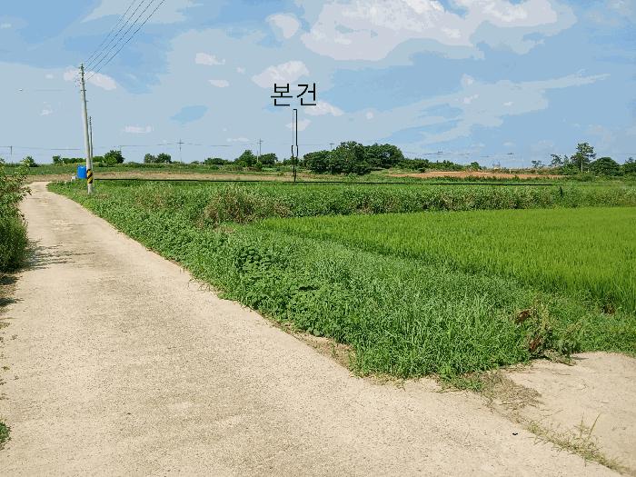 2025타경448 법원경매 사진4 | 전남 영암군 전답 경매
