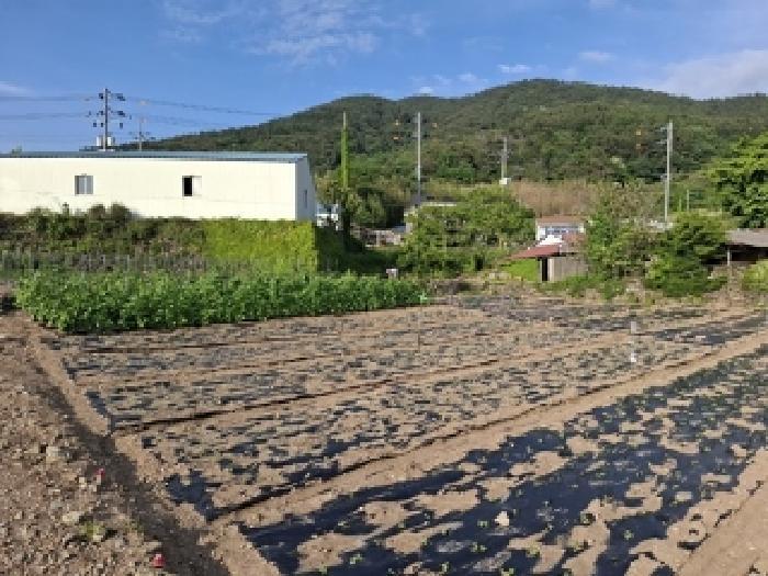 법원경매 2025타경687 사진13 | 남해군 남면 상가리 818 전 경매