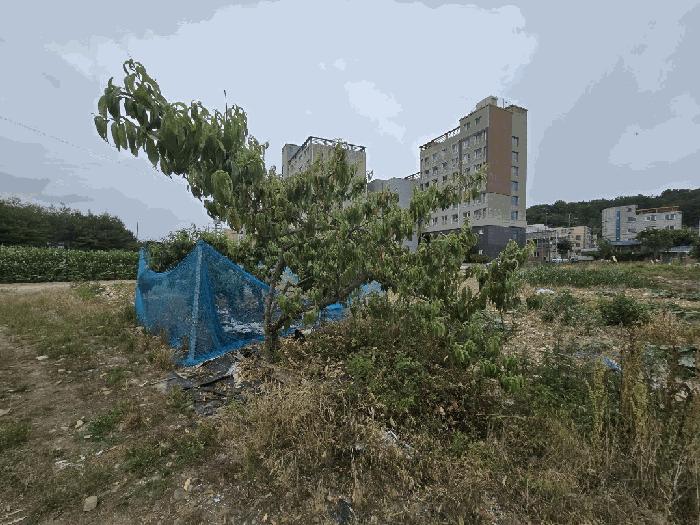 2025타경734 법원경매 사진2 | 경남 사천시 대지 경매