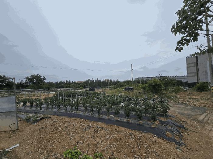 2025타경734 법원경매 사진8 | 경남 사천시 대지 경매