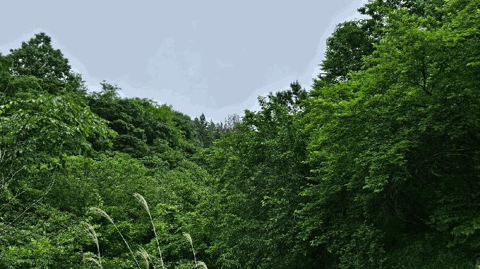 경남 진주시 사봉면 부계리 293 전 사진 2