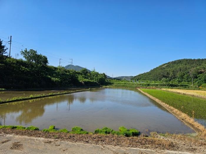 경남 진주시 사봉면 부계리 293 전 사진 6