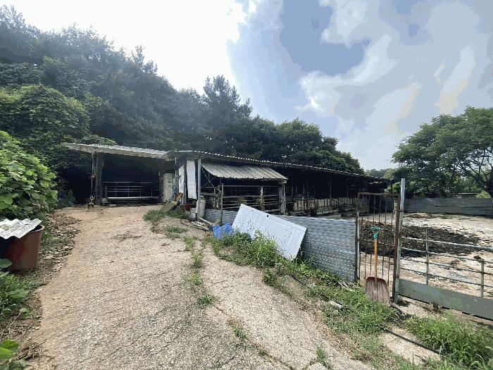 2025타경51276 법원경매 사진2 | 전남 무안군 목장용지 경매
