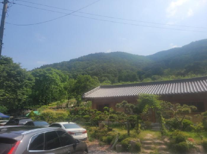 법원경매 2025타경8101 사진5 | 대구 동구 중대동 산46 임야 경매