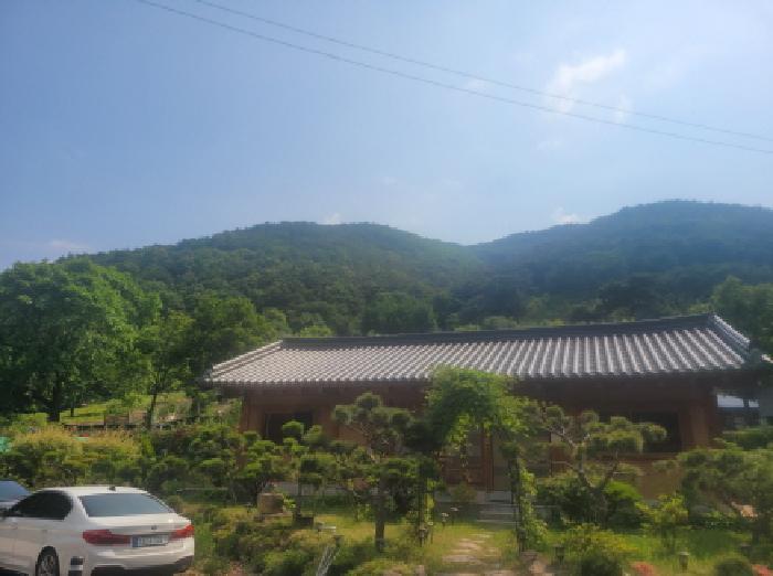 법원경매 2025타경8101 사진6 | 대구 동구 중대동 산46 임야 경매