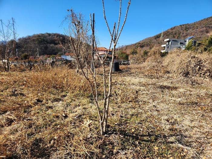 2024타경3270 법원경매 사진6 | 경남 밀양시 답 경매