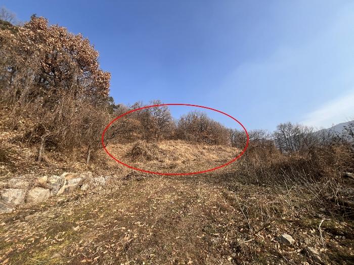 2024타경13468 법원경매 사진3 | 경남 밀양시 답 경매