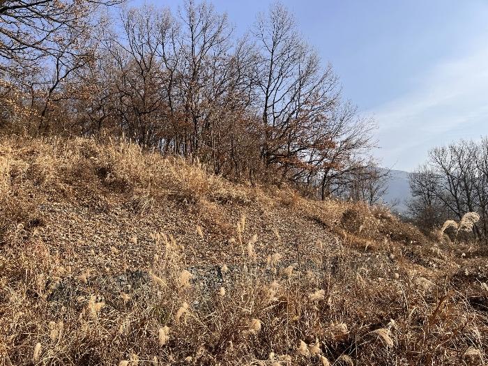 2024타경13468 법원경매 사진4 | 경남 밀양시 임야 경매