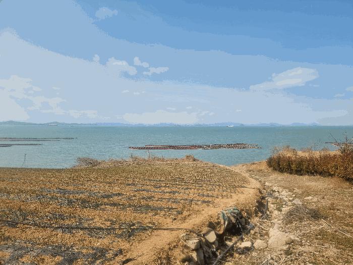 2025타경50334 법원경매 사진3 | 전남 해남군 전 경매