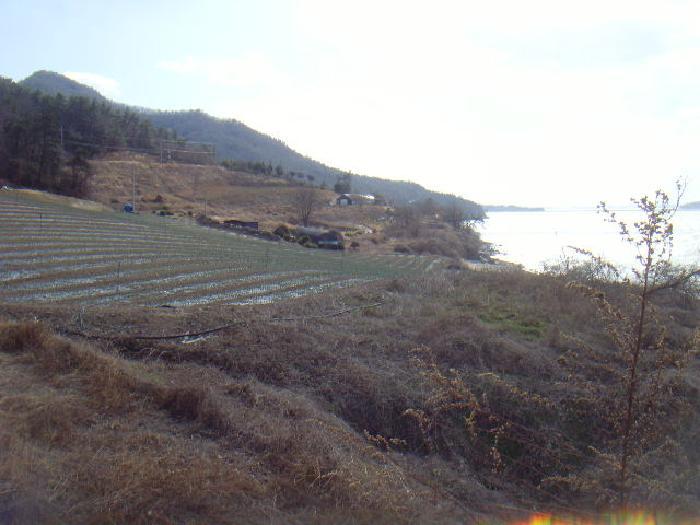 2025타경50334 법원경매 사진5 | 전남 해남군 전 경매