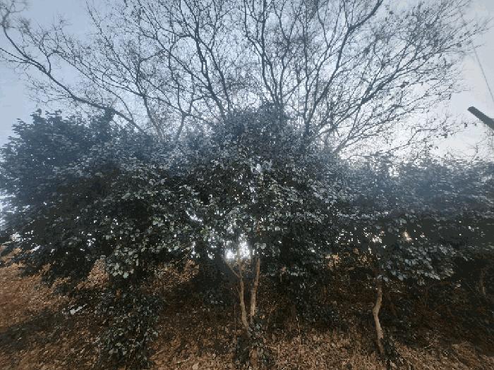 법원경매 2025타경114 사진2 | 통영시 도산면 원산리 240 주택건물 경매
