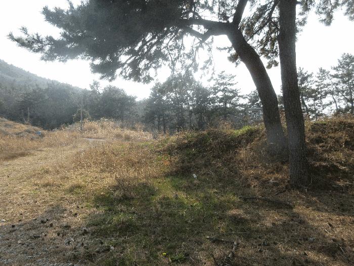 2025타경51187 법원경매 사진2 | 전남 여수시 전 경매