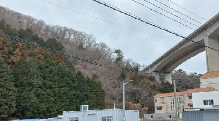 2025타경21060 법원경매 사진6 | 경남 거제시 임야 경매