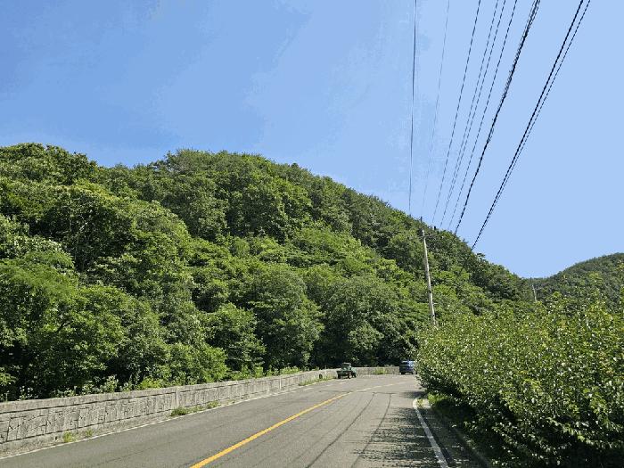 전라남도 광양시 옥곡면 묵백리 산50 법원경매 물건 대표사진