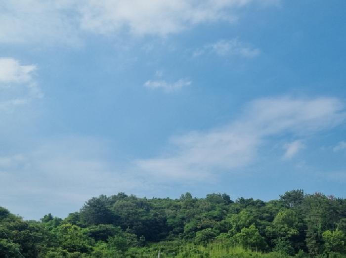 2025타경51668 법원경매 사진13 | 전남 광양시 임야 경매