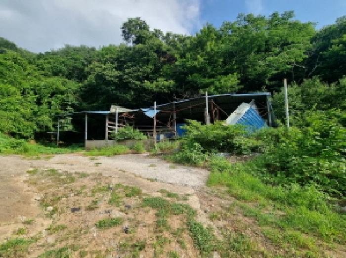 2025타경51668 법원경매 사진15 | 전남 광양시 임야 경매