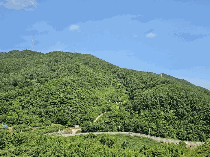 2025타경51668 법원경매 사진21 | 전남 광양시 임야 경매