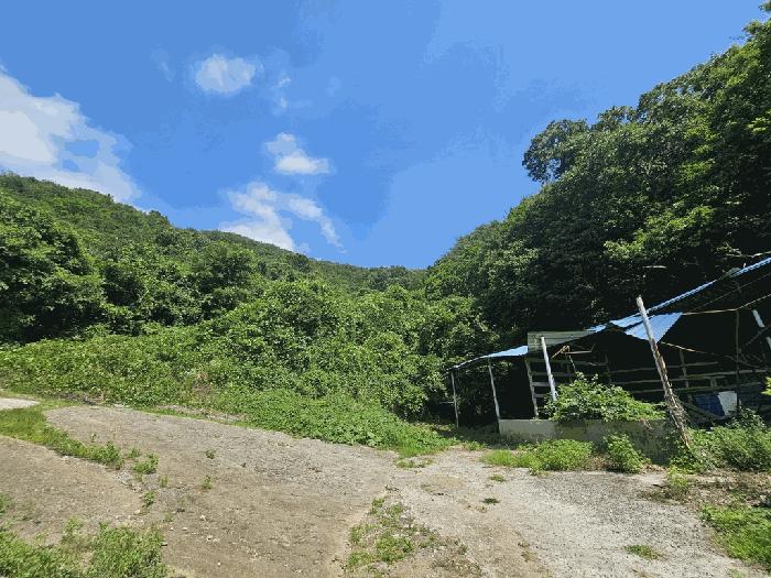 2025타경51668 법원경매 사진5 | 전남 광양시 임야 경매