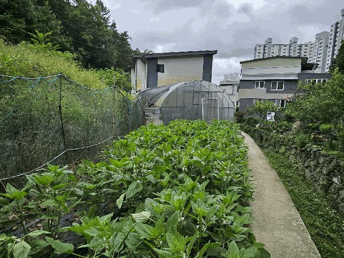 2025타경51725 법원경매 사진3 | 전남 순천시 주택건물 경매