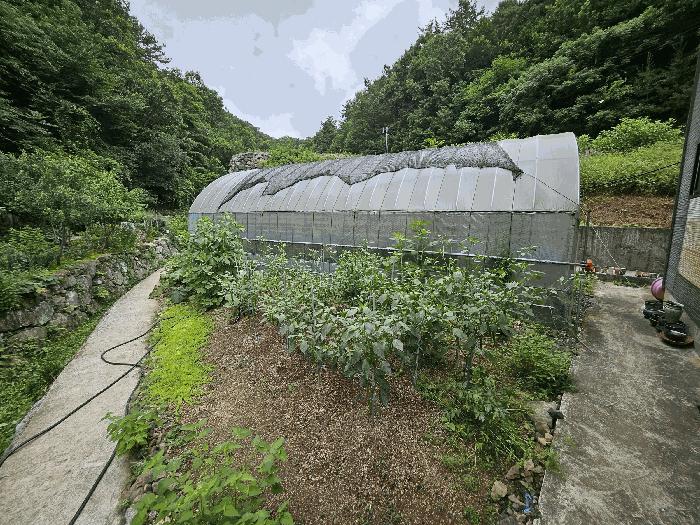 2025타경51725 법원경매 사진7 | 전남 순천시 주택건물 경매