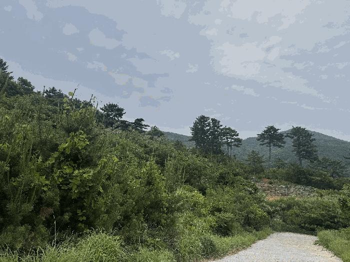 2025타경21446 법원경매 사진6 | 경남 거제시 전 경매