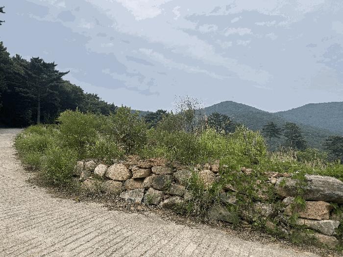 2025타경21446 법원경매 사진4 | 경남 거제시 전답 경매