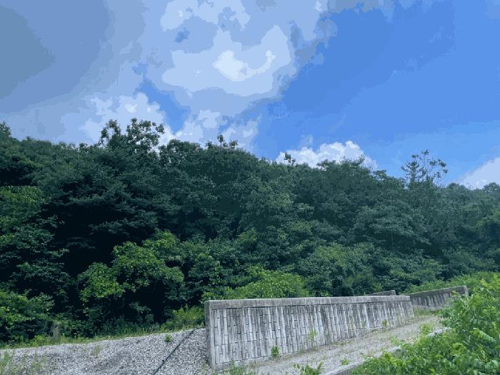 2025타경31374 법원경매 사진2 | 전북 완주군 임야 경매