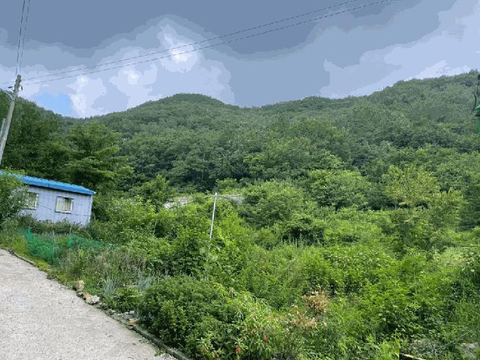 2025타경31374 법원경매 사진5 | 전북 완주군 임야 경매