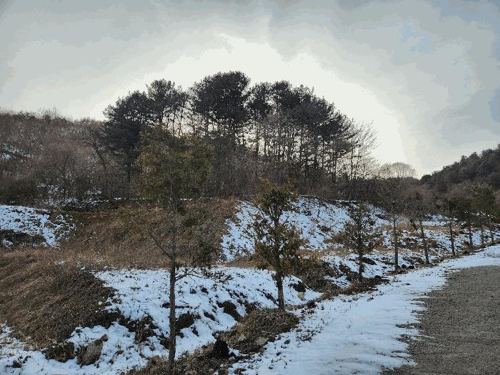 법원경매 2025타경71286 사진4 | 가평군 가평읍 산유리 410 전 경매