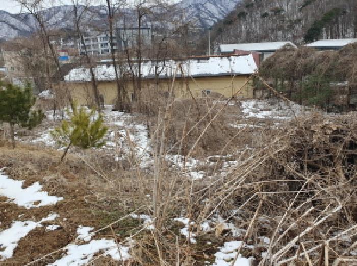 법원경매 2025타경71286 사진5 | 가평군 가평읍 산유리 410 전 경매