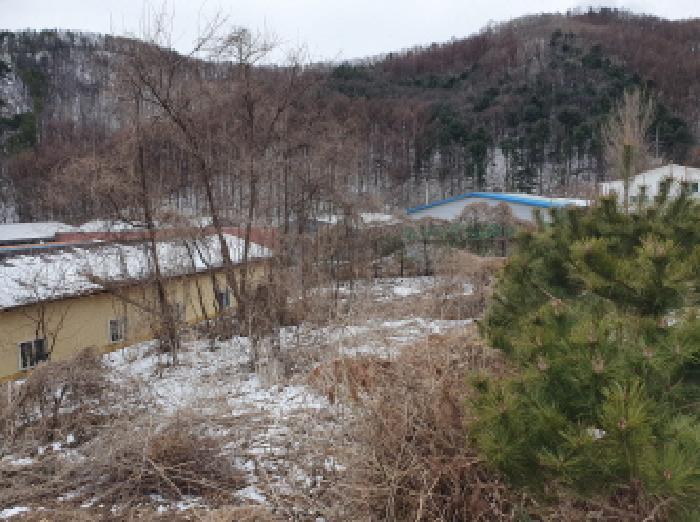 법원경매 2025타경71286 사진7 | 가평군 가평읍 산유리 410 전 경매