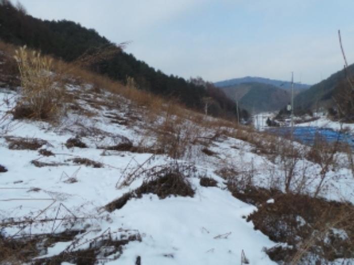 강원특별자치도 평창군 진부면 거문리 828-1 법원경매 물건 대표사진