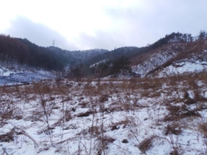법원경매 2025타경11 사진2 | 평창군 진부면 전 경매