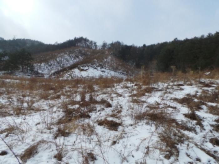 법원경매 2025타경11 사진3 | 평창군 진부면 전 경매