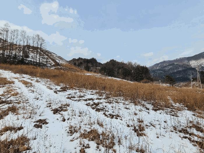 강원특별자치도 평창군 진부면 마평리 44-7 법원경매 물건 대표사진
