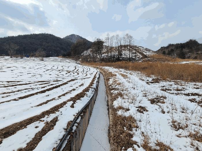 법원경매 2025타경288 사진4 | 평창군 진부면 전 경매