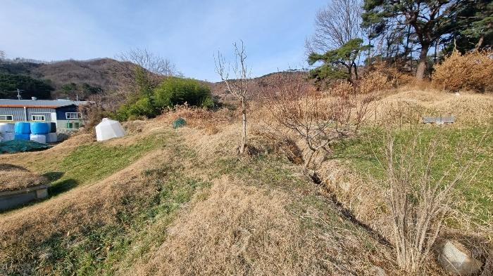 법원경매 2023타경40977 사진4 | 대구 달성군 옥포읍 김흥리 임야 경매