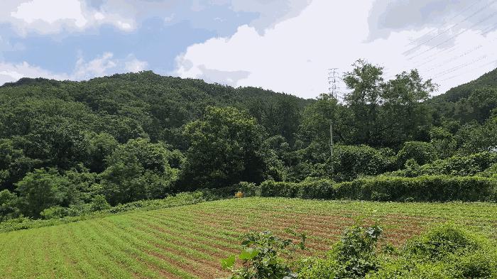 법원경매 2025타경2030 사진5 | 성주군 용암면 용정리 임야 경매