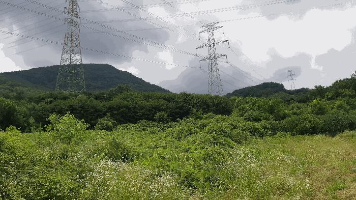 법원경매 2025타경2030 사진7 | 성주군 용암면 용정리 임야 경매